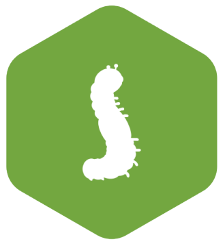 OpenLDAP