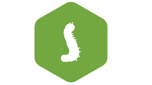 OpenLDAP
