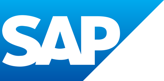 AAG Risk Ruleset for SAP ECC