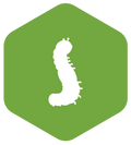 OpenLDAP