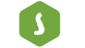 OpenLDAP